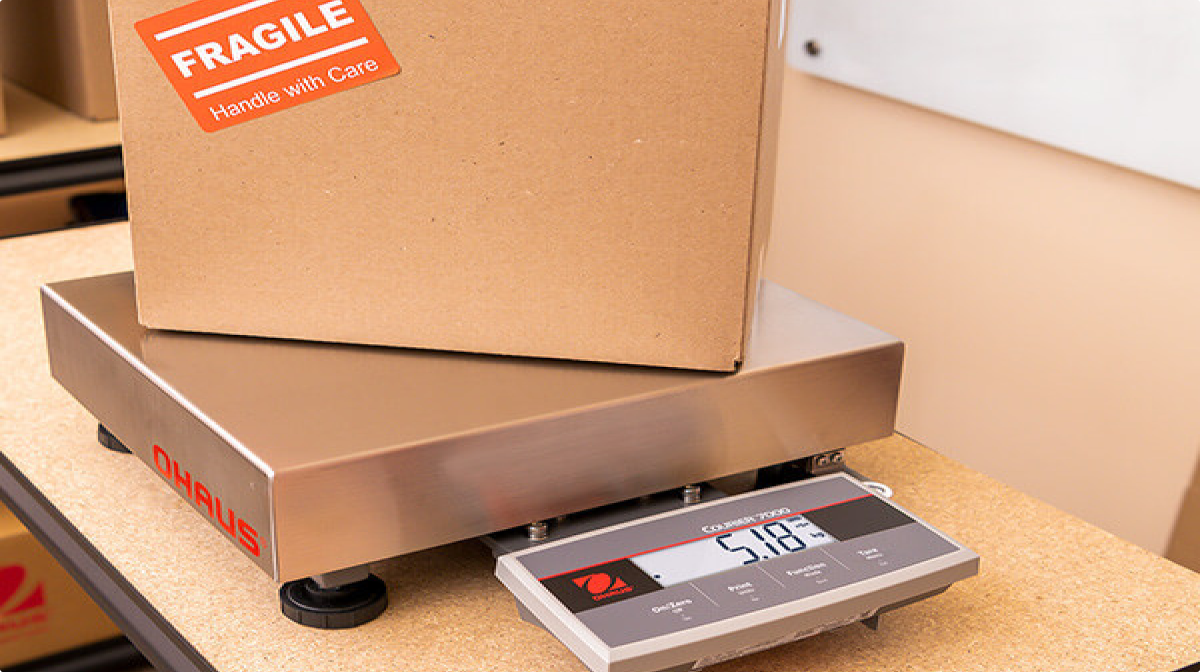 Hvad er vigtigt for vægte til skolebrug?